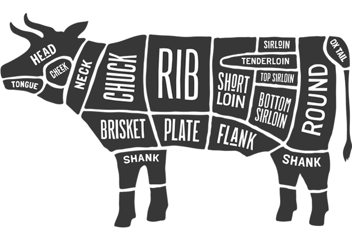 Beef Meat Cuts illustration
