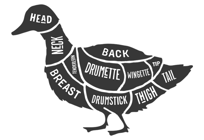 Duck Meat Cuts illustration