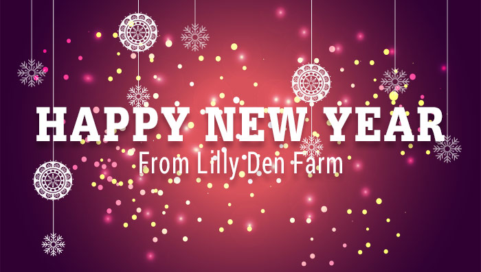 Happy New Year from Lilly Den Farm white type over red Christmas background