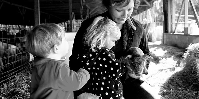 Mackenzie, Meadow, and Rye playing with a piglet