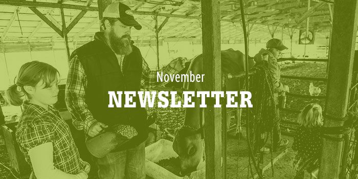 2010 Lilly Den Farm November Newsletter