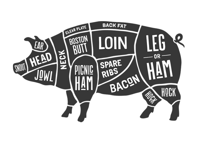 Pork Meat Cuts illustration