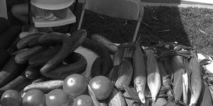Table with corn, tomatoes, and cucumbers for sale