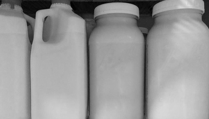 Sustainably raised raw milk at Lilly Den Farm