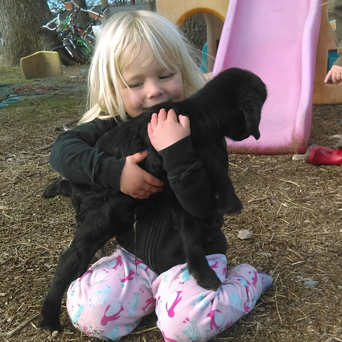 Meadow holding a black baby goat