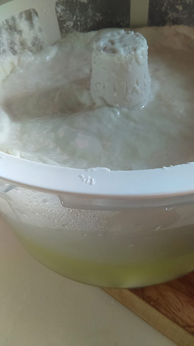 Homemade yogurt and whey after heating to 100˚ for ten hours