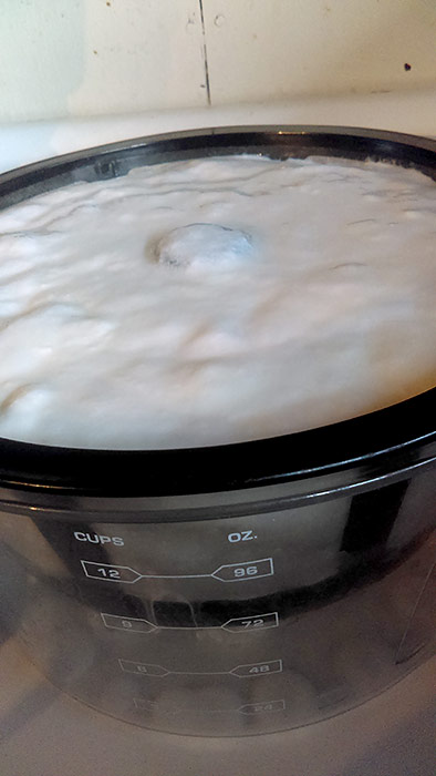 Homemade yogurt finished product