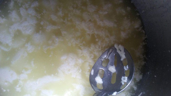 Homemade mozzarella being stirred in sauce pan