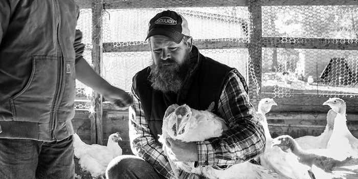 4 Reasons To Buy Your Thanksgiving Turkey From A Local Farmer