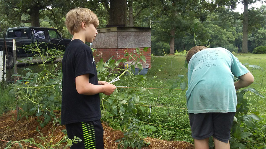 Children tending the garden