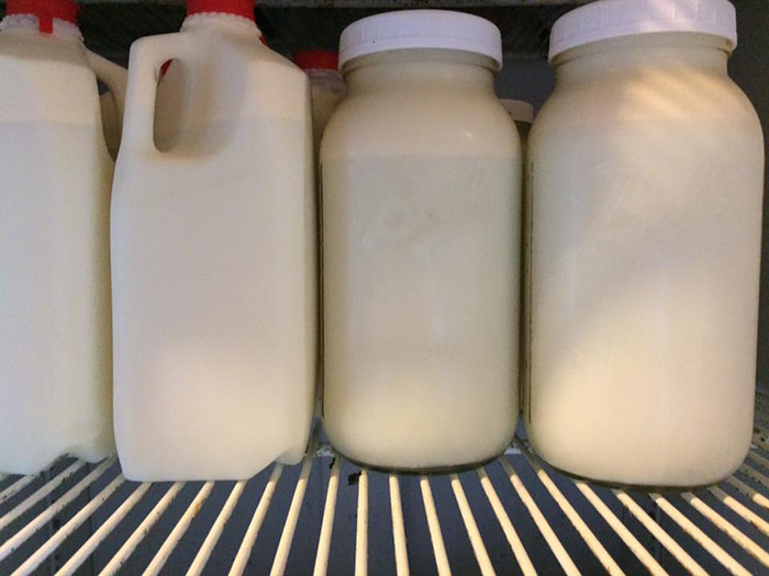 Sustainably raised raw milk at Lilly Den Farm