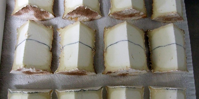 Cut Blocks Of Blue Cheese