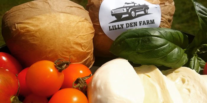 Fresh Cheese Making Class