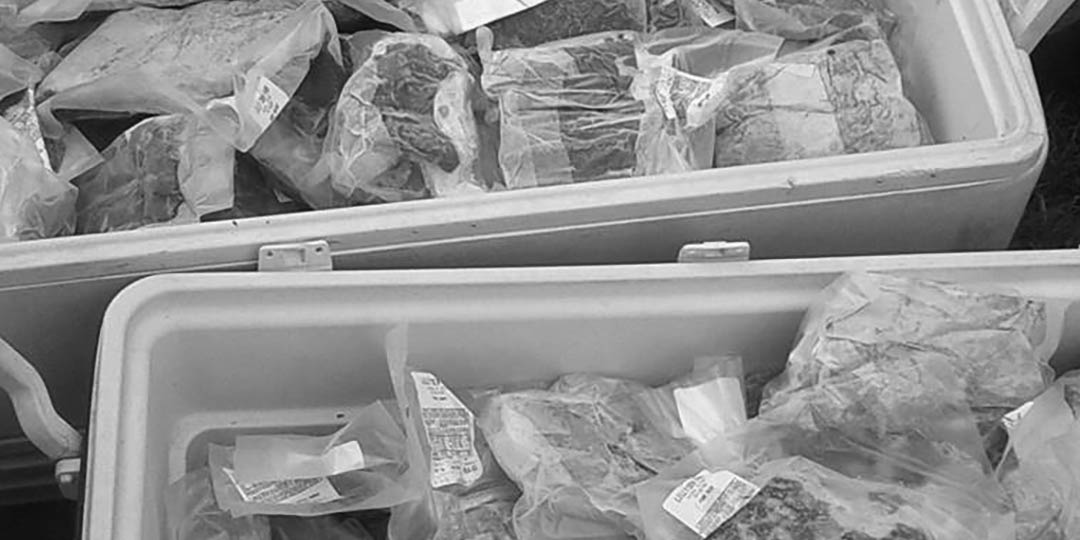 Coolers containing packaged meat from Lilly Den Farm